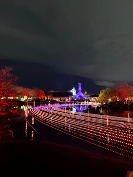 なばなの里に投稿された画像（2026/3/6）