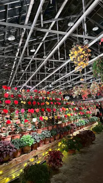 なばなの里に投稿された画像（2026/3/6）