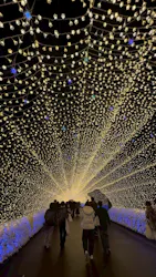 なばなの里に投稿された画像（2026/3/6）