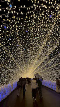 なばなの里に投稿された画像（2026/3/6）