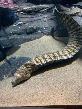 マリンワールド海の中道に投稿された画像（2026/3/6）