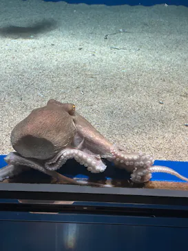 マリンワールド海の中道に投稿された画像（2026/3/6）