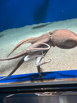 マリンワールド海の中道に投稿された画像（2026/3/6）