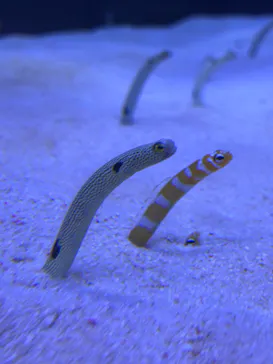 マリンワールド海の中道に投稿された画像（2026/3/6）