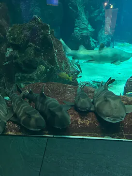 マリンワールド海の中道に投稿された画像（2026/3/6）