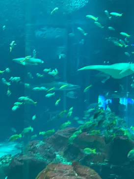 マリンワールド海の中道に投稿された画像（2026/3/6）