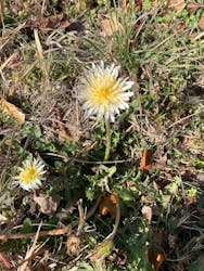 アソビュー！ポイントに投稿された画像（2026/3/6）