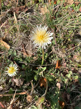 アソビュー！ポイントに投稿された画像（2026/3/6）