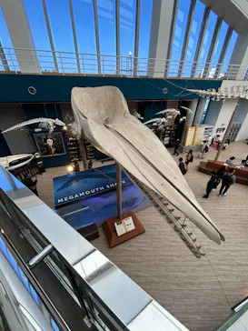 アソビュー！ポイントに投稿された画像（2026/3/6）