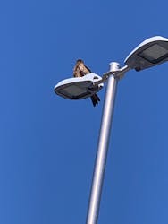 アソビュー！ポイントに投稿された画像（2026/3/6）