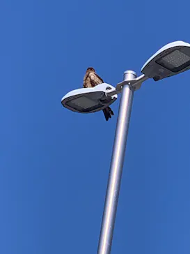 アソビュー！ポイントに投稿された画像（2026/3/6）