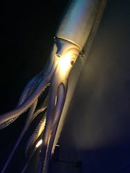 アソビュー！ポイントに投稿された画像（2026/3/6）