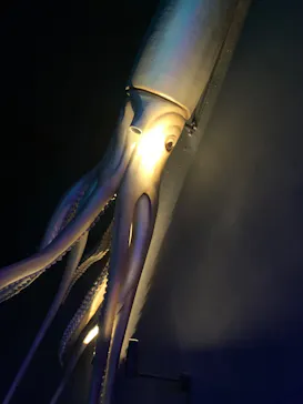 アソビュー！ポイントに投稿された画像（2026/3/6）