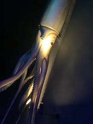 アソビュー！ポイントに投稿された画像（2026/3/6）