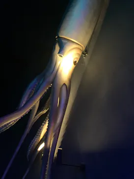 アソビュー！ポイントに投稿された画像（2026/3/6）