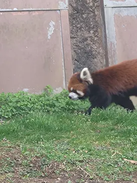 多摩動物公園に投稿された画像（2026/3/6）