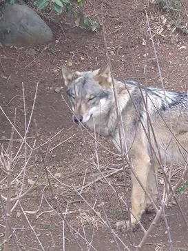 多摩動物公園に投稿された画像（2026/3/6）