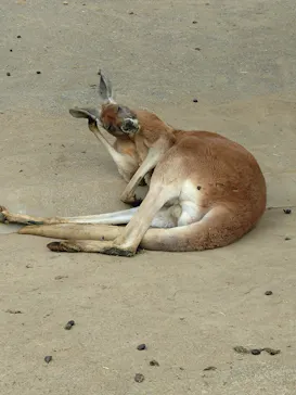 多摩動物公園に投稿された画像（2026/3/6）