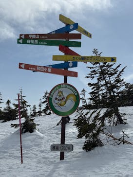 かぐらスキー場に投稿された画像（2026/3/6）