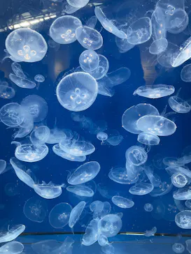 葛西臨海水族園に投稿された画像（2026/3/7）