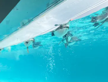 葛西臨海水族園に投稿された画像（2026/3/7）