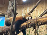 伊豆シャボテン動物公園に投稿された画像（2026/3/7）