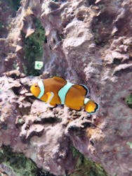 サンシャイン水族館に投稿された画像（2026/3/7）