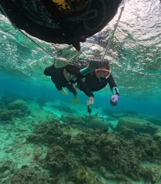 武藤潜水に投稿された画像（2026/3/7）