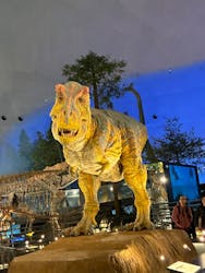 福井県立恐竜博物館に投稿された画像（2026/3/7）