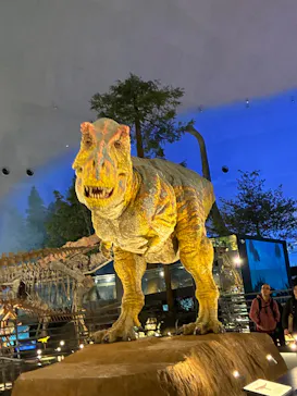 福井県立恐竜博物館に投稿された画像（2026/3/7）