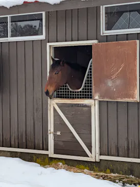 ノーザンホースパークに投稿された画像（2026/3/7）