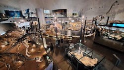 福井県立恐竜博物館に投稿された画像（2026/3/7）