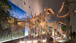 福井県立恐竜博物館に投稿された画像（2026/3/7）