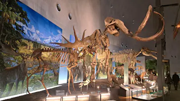 福井県立恐竜博物館に投稿された画像（2026/3/7）