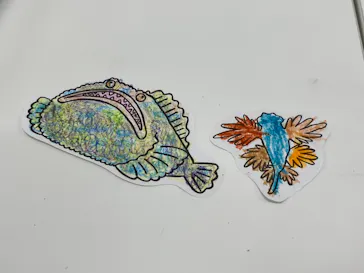 幼魚水族館に投稿された画像（2026/3/7）