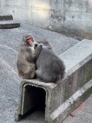 宇都宮動物園に投稿された画像（2026/3/7）