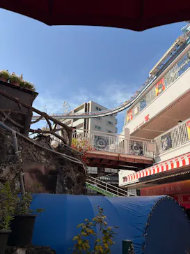 浅草花やしきに投稿された画像（2026/3/7）