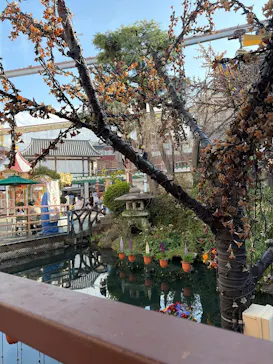 浅草花やしきに投稿された画像（2026/3/7）