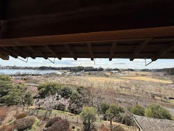 偕楽園本園に投稿された画像（2026/3/7）