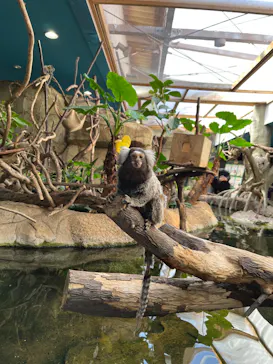 那須どうぶつ王国に投稿された画像（2026/3/7）