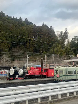 大井川鐵道株式会社に投稿された画像（2026/3/7）