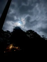 大井川鐵道株式会社に投稿された画像（2026/3/7）