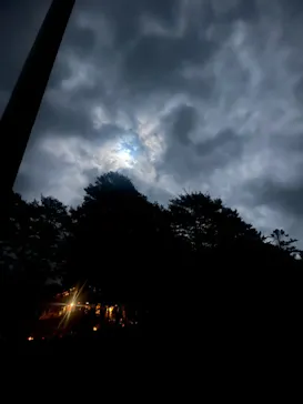 大井川鐵道株式会社に投稿された画像（2026/3/7）