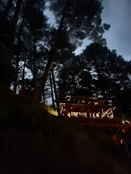 大井川鐵道株式会社に投稿された画像（2026/3/7）