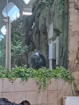 NIFREL（ニフレル）に投稿された画像（2026/3/7）