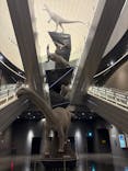 福井県立恐竜博物館に投稿された画像（2026/3/7）