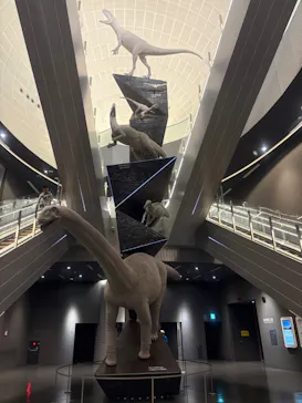 福井県立恐竜博物館に投稿された画像（2026/3/7）