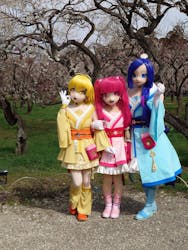 偕楽園本園に投稿された画像（2026/3/7）