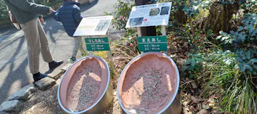 東京動物園協会_多摩動物公園に投稿された画像（2026/3/7）