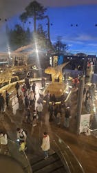 福井県立恐竜博物館に投稿された画像（2026/3/7）